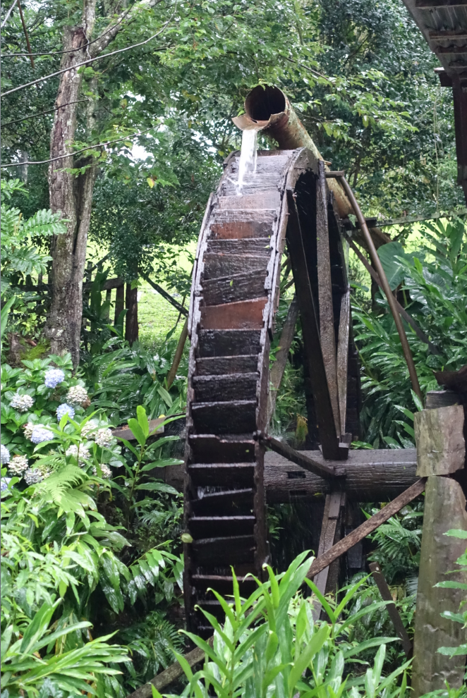 The entire process is made without electricity, this waterwheel provides power for the mill to crush the leaves into a very fine powder.