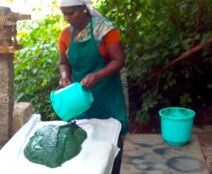 Besides employing local villagers aurospirul has also launched a program to introduce spirulina to local village schools to nourish the children.