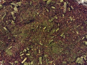 RedWood - Gehm Mate + Rooibos