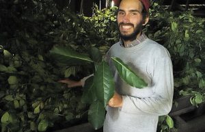 the bio diversity of Gehm forest